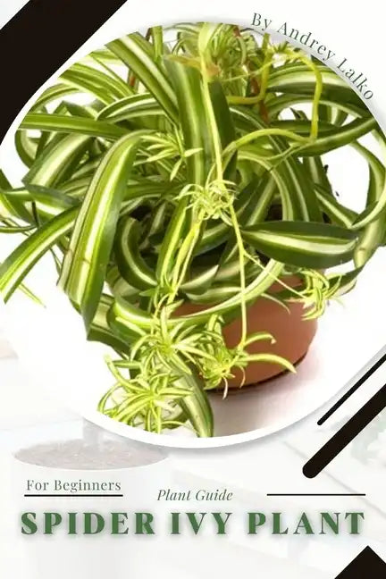 Spider Ivy Plant: Plant Guide - Paperback