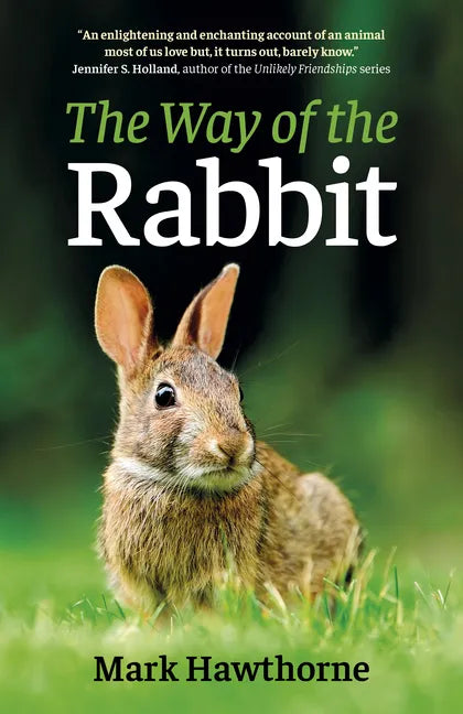 The Way of the Rabbit - Paperback