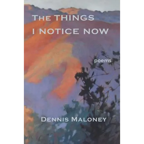 The Things I Notice Now - Paperback
