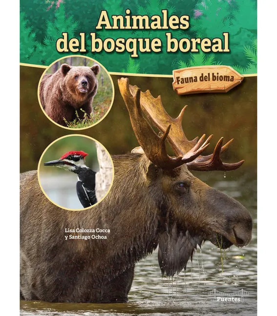 Animales del Bosque Boreal: Boreal Forest Animals - Paperback
