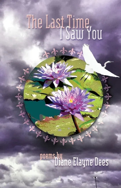 The Last Time I Saw You - Paperback