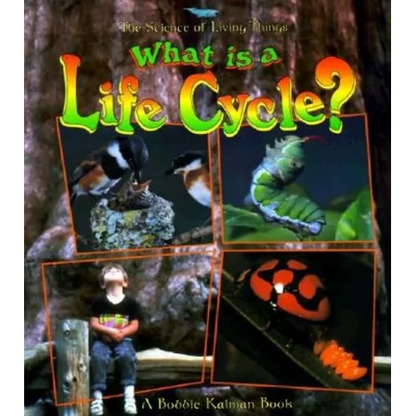 What Is a Life Cycle? - Paperback