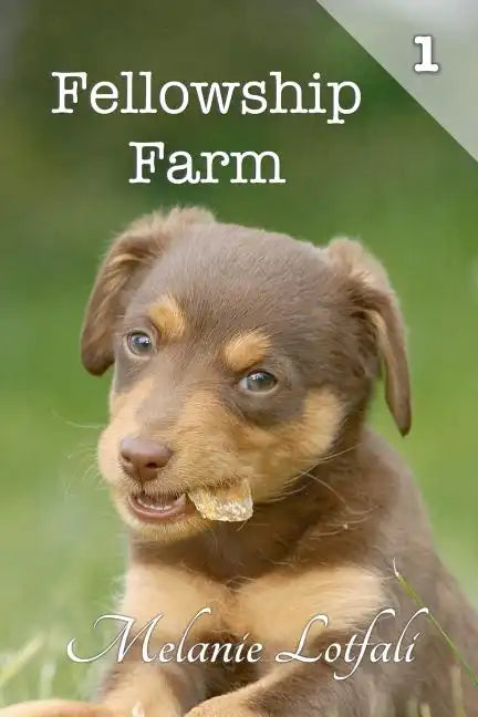 Fellowship Farm 1: Books 1-3 - Paperback