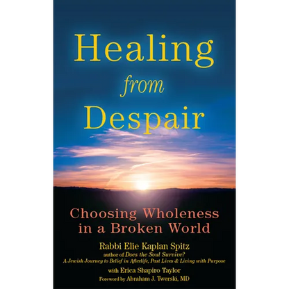 Healing from Despair: Choosing Wholeness in a Broken World - Paperback