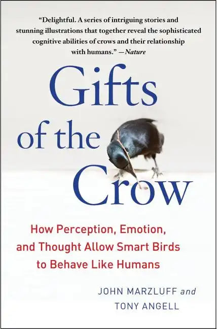 Gifts of the Crow: How Perception, Emotion, and Thought Allow Smart Birds to Behave Like Humans - Paperback