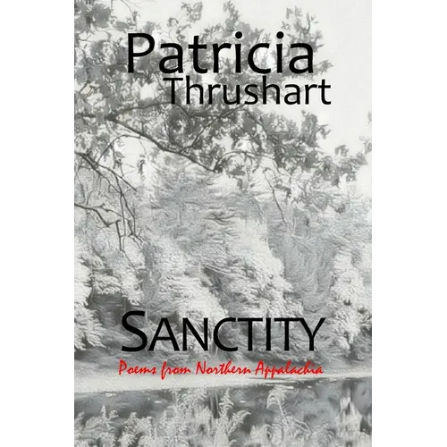 Sanctity: poems from Northern Appalachia - Paperback