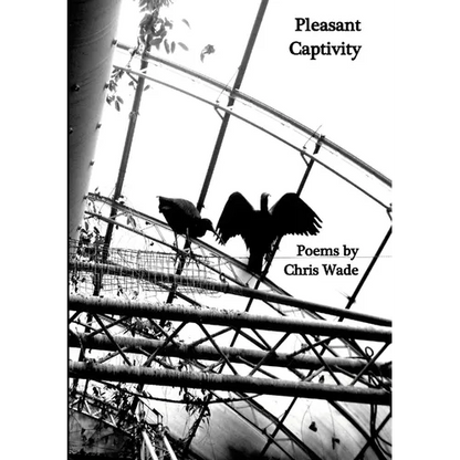 Pleasant Captivity - Paperback