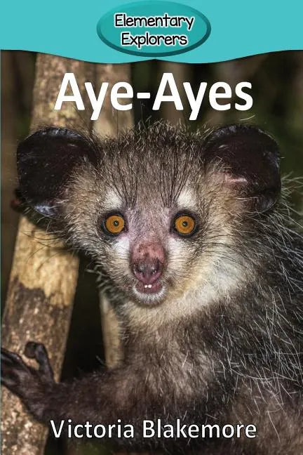Aye-Ayes - Paperback