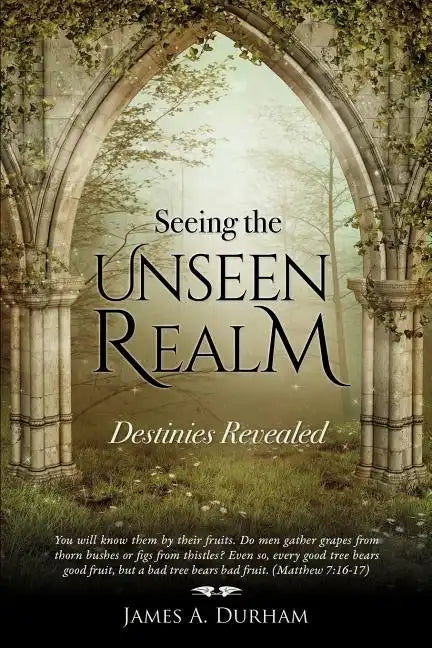 Seeing the Unseen Realm - Paperback