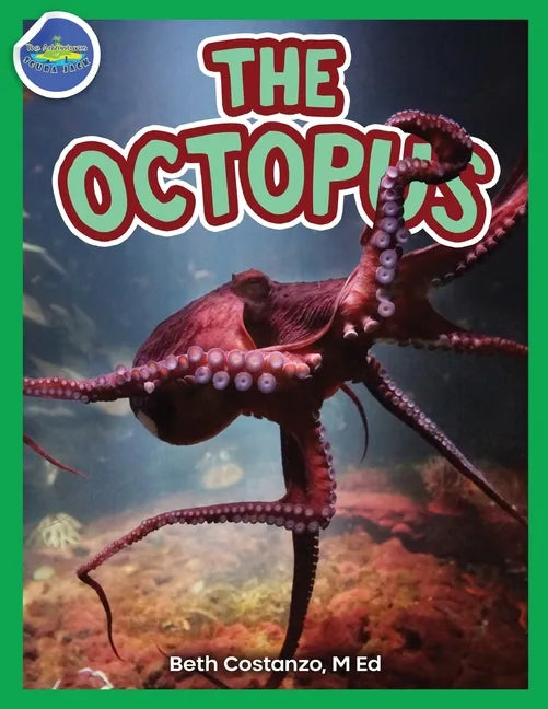 The Octopus ages 2-4 - Paperback