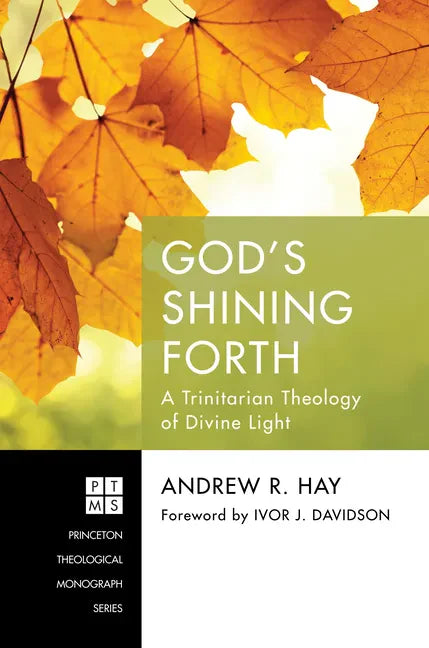 God's Shining Forth: A Trinitarian Theology of Divine Light - Paperback