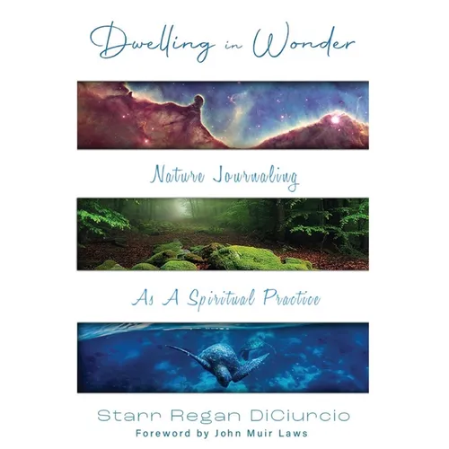 Dwelling in Wonder: Nature Journaling as a Spiritual Practice - Paperback