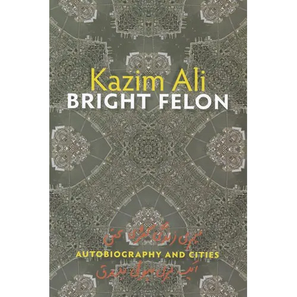Bright Felon: Autobiography and Cities - Paperback