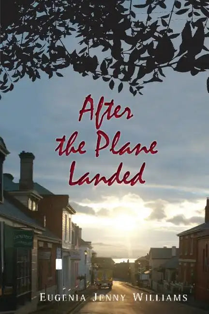 After the Plane Landed - Paperback