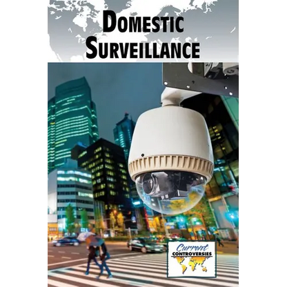 Domestic Surveillance - Paperback