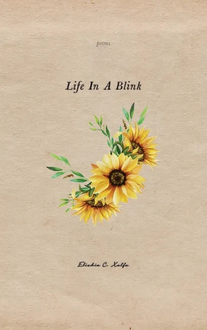 Life In a Blink - Hardcover