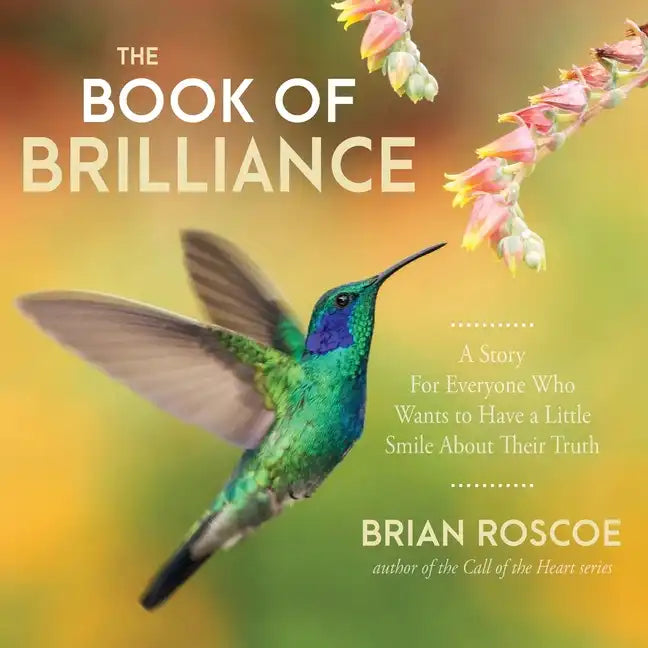 The Book of Brilliance - Paperback