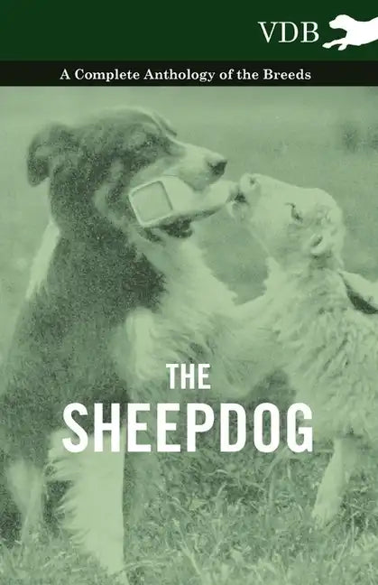 The Sheepdog - A Complete Anthology of the Breeds - Paperback