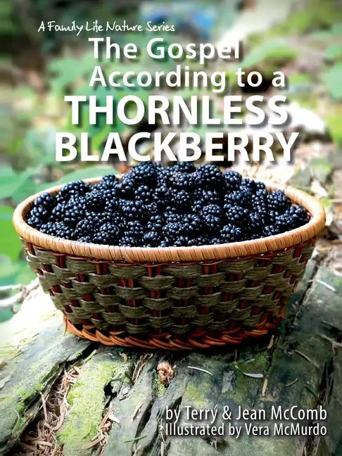 The Gospel According to a Blackberry - Paperback