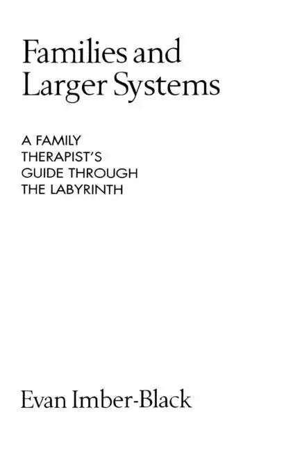 Families and Larger Systems: A Family Therapist's Guide Through the Labyrinth - Paperback
