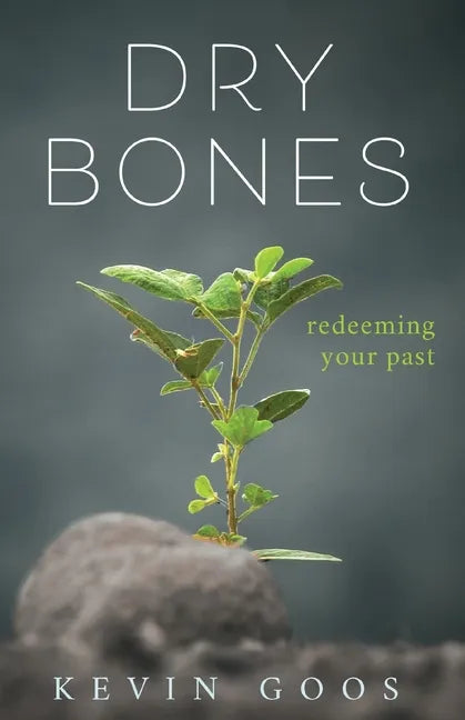 Dry Bones: Redeeming Your Past - Paperback