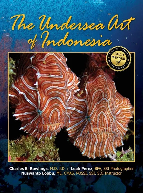 The Undersea Art of Indonesia - Hardcover
