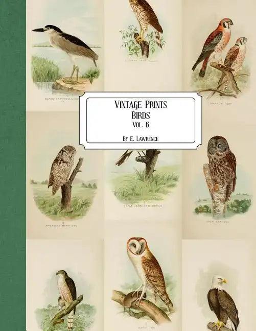 Vintage Prints: Birds: Vol. 6 - Paperback