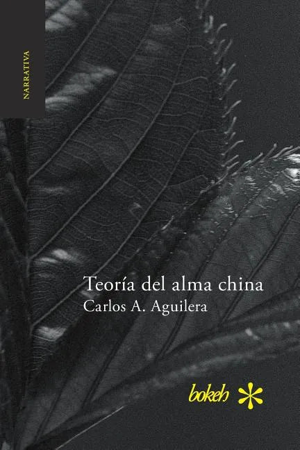 Teoría del alma china - Paperback