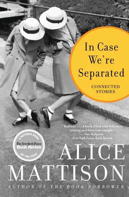 In Case We're Separated: Connected Stories - Paperback