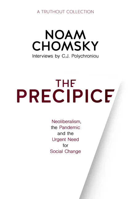 The Precipice: Neoliberalism, the Pandemic and Urgent Need for Social Change - Hardcover