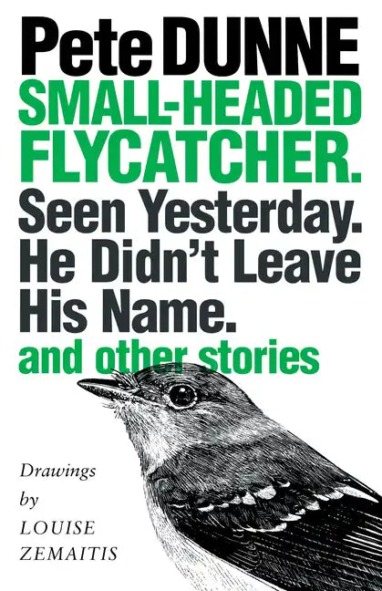 Small-headed Flycatcher. Seen Yesterday. He Didn't Leave His Name.: and other stories - Paperback