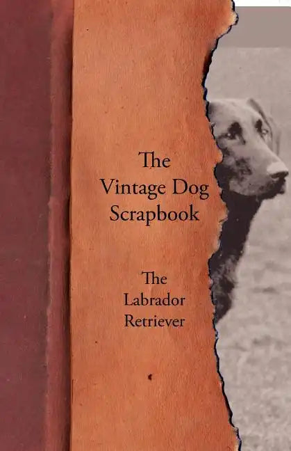The Vintage Dog Scrapbook - The Labrador Retriever - Paperback