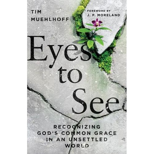Eyes to See: Recognizing God's Common Grace in an Unsettled World - Paperback