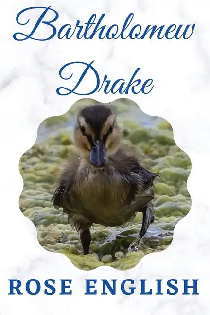 Bartholomew Drake: & Life on the Lake - Paperback