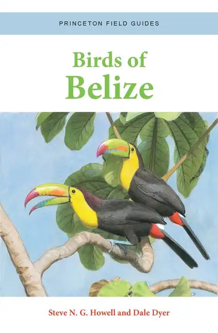 Birds of Belize - Paperback