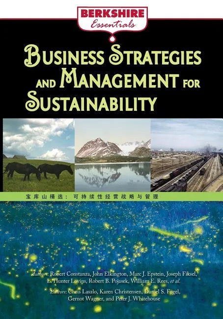 Business Strategies and Management for Sustainability - Paperback