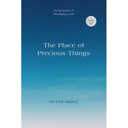 The Place of Precious Things - Paperback