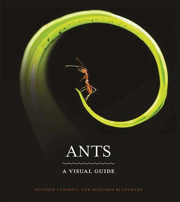 Ants: A Visual Guide - Hardcover