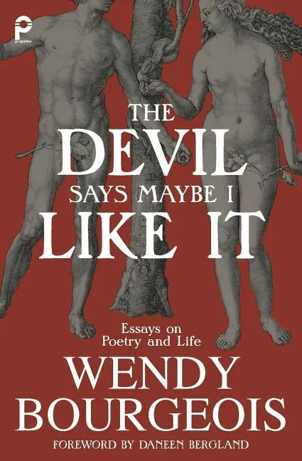 The Devil Says Maybe I Like It: Essays on Poetry and Life - Paperback