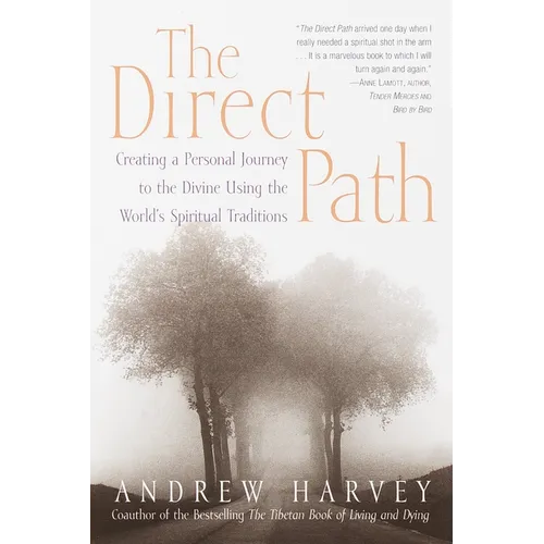 The Direct Path: The Direct Path: Creating a Personal Journey to the Divine Using the World's Spirtual Traditions - Paperback