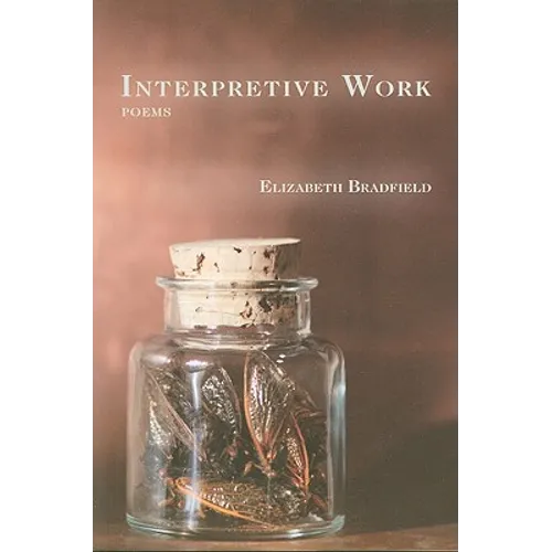 Interpretive Work - Paperback
