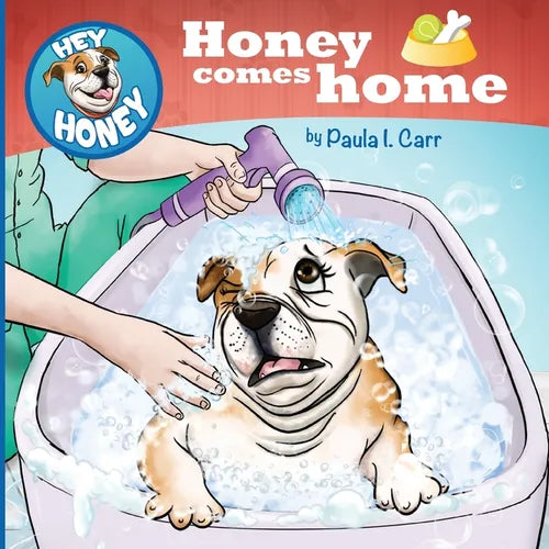 Hey Honey: Honey Comes Home - Paperback