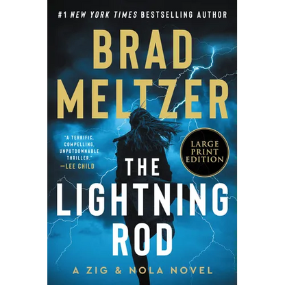 The Lightning Rod: A Zig & Nola Novel - Paperback