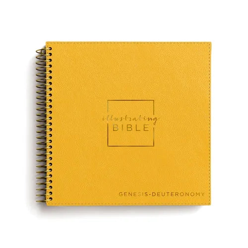 Illustrating Bible Niv: Genesis to Deuteronomy - Spiral Bound Bible Journal - Spiral