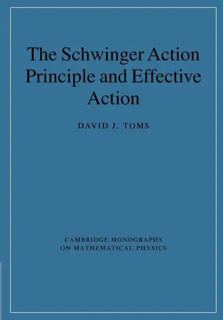 The Schwinger Action Principle and Effective Action - Paperback