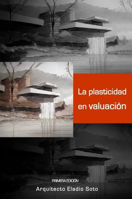 La Plasticidad En Valuación - Paperback