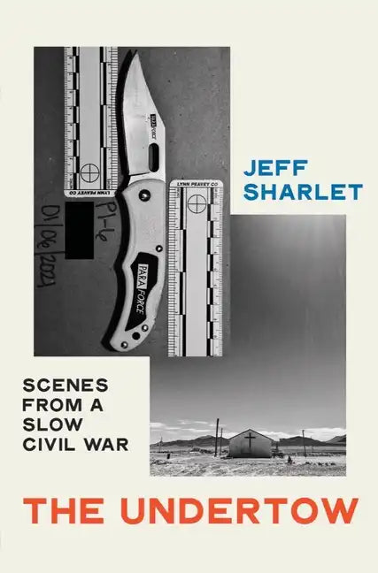 The Undertow: Scenes from a Slow Civil War - Hardcover