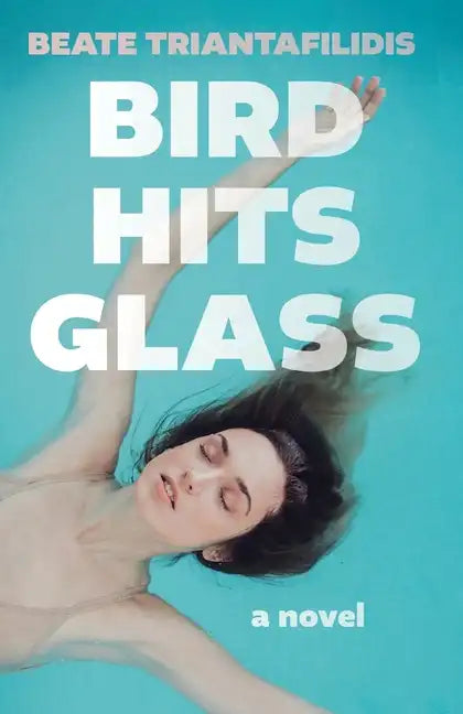 Bird Hits Glass - Paperback
