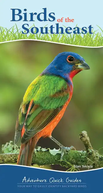 Birds of the Southeast: Your Way to Easily Identify Backyard Birds - Spiral