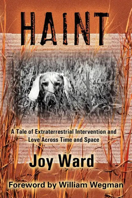 Haint: A Tale of Extraterrestrial Intervention and Love Across Time and Space - Paperback